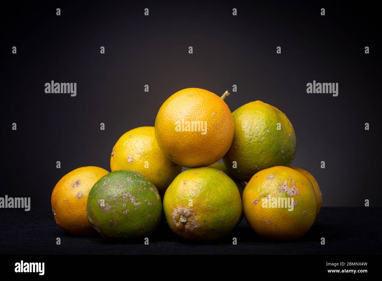 Bouquet de fruits colorés frais mûrs orange et vert Citrus Tangerina. Banque D'Images