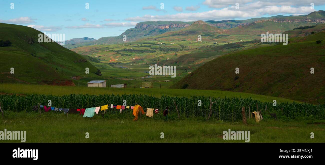 ferme rurale avec des vêtements colorés dans les montagnes du drakensberg, kwazulu natal, afrique du sud Banque D'Images