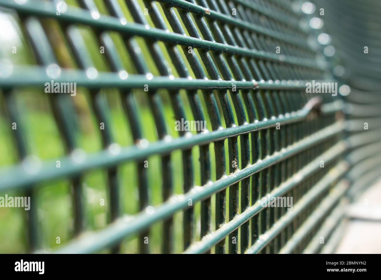 Vue inclinée d'une grille de paillasse de parc en métal vert avec décollement de la peinture, mise au point sélectionnée Banque D'Images