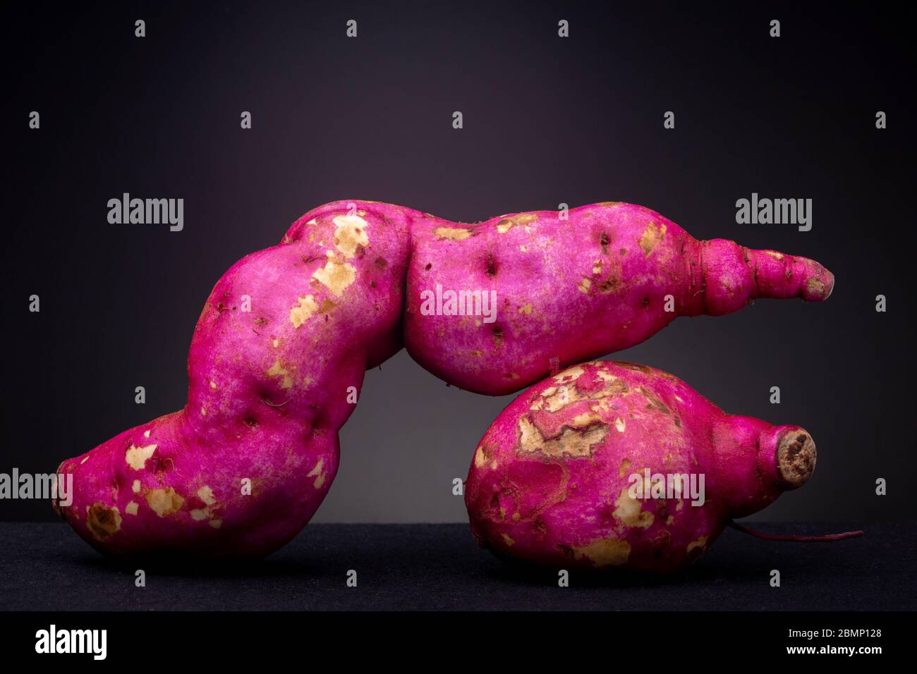 Image basse de grandes patates douces et colorées, fraîches et colorées, et de l'igname et de la patate douce et brute, dans un éclairage studio, contrastent avec un arrière-plan sombre Banque D'Images