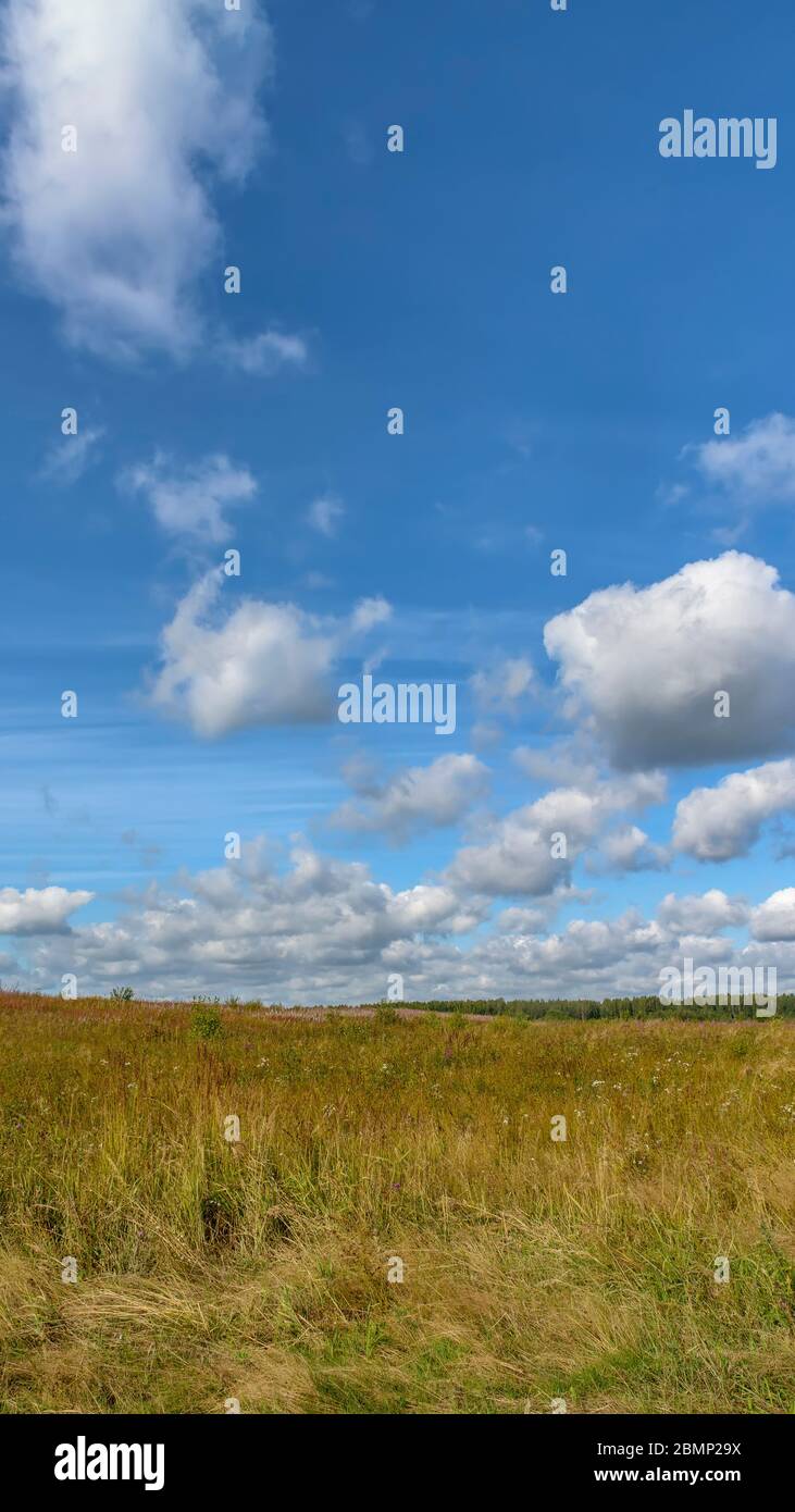 Papier peint pour iphone 6, iphone 6 plus, iphone 7, iphone 5 et autres. Banque D'Images