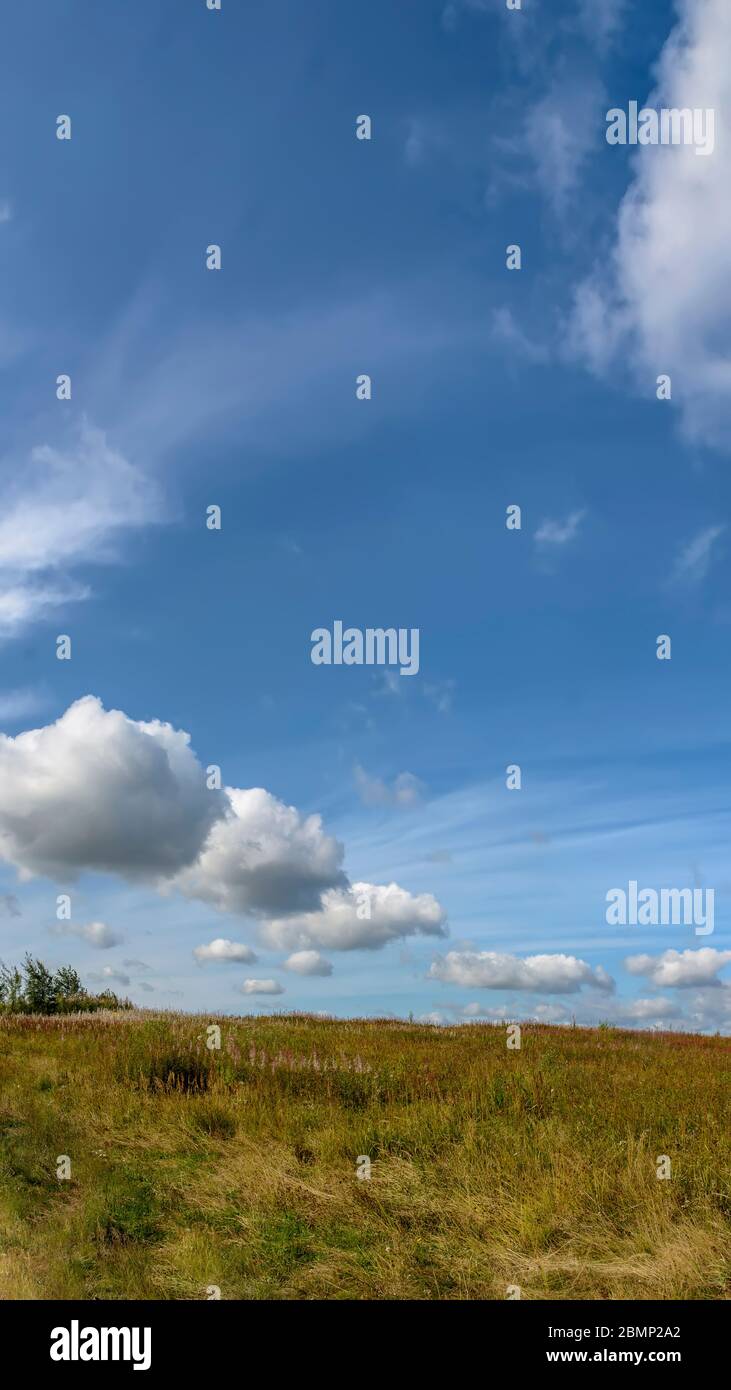 Papier peint pour iphone 6, iphone 6 plus, iphone 7, iphone 5 et autres. Banque D'Images