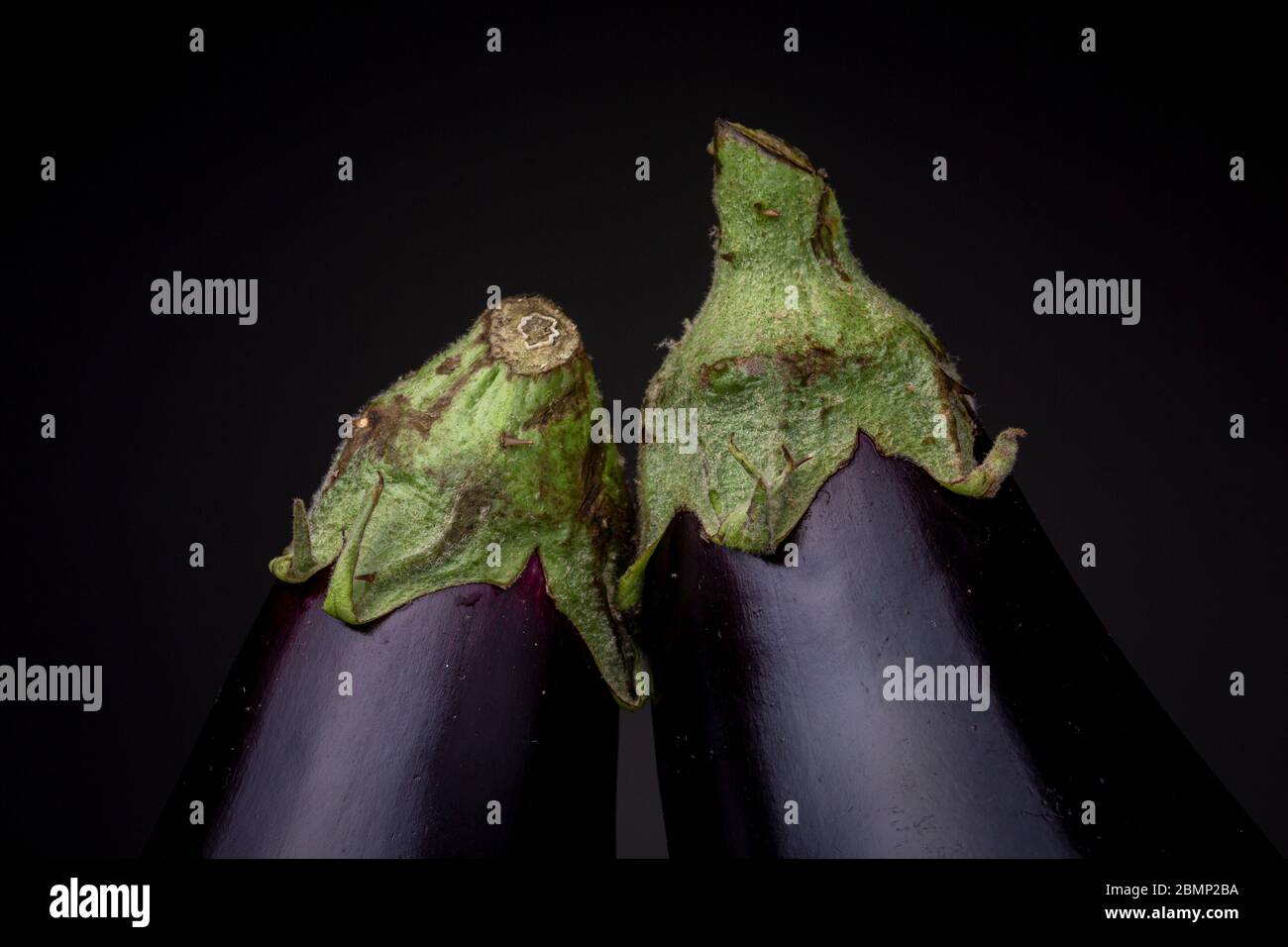 Gros plan des hauts verts de légumes aubergines d'aubergines violets colorés. Le studio à faible niveau de vie se fixe sur fond gris foncé. Banque D'Images