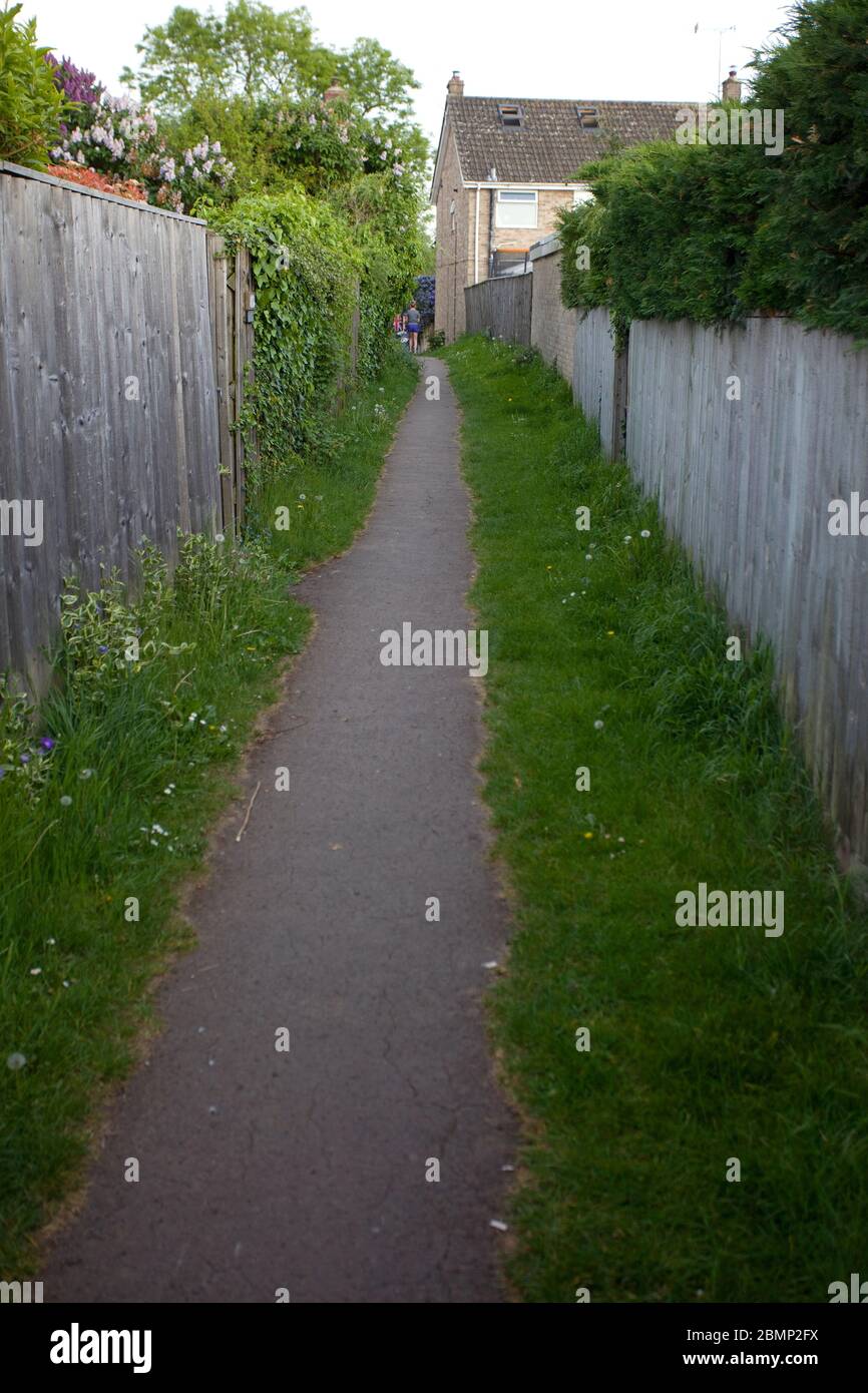 Allée traversant l'arrière des jardins, Royaume-Uni Banque D'Images