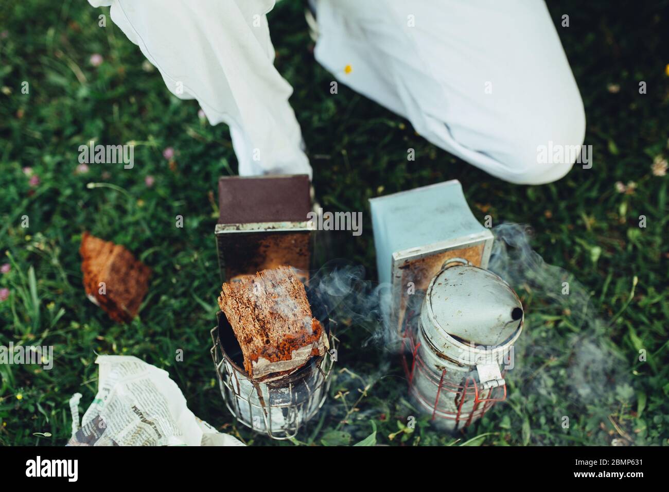 Libre d'un pignon pour fumeurs abeilles apiculteur Banque D'Images