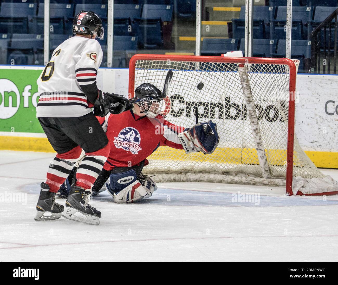 Action senior de hockey masculin. 65 ans et plus.notation, tournage Banque D'Images