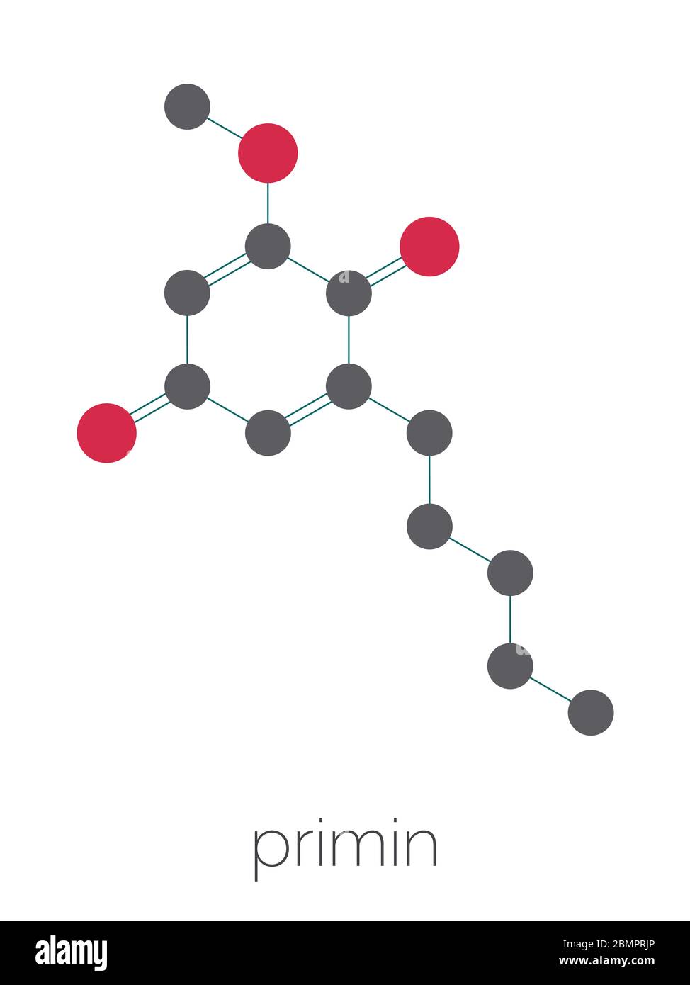 Primin primrose plante allergène molécule. Formule squelettique stylisée (structure chimique) : les atomes sont représentés par des cercles de couleur : hydrogène (caché), carbone (gris), oxygène (rouge). Banque D'Images