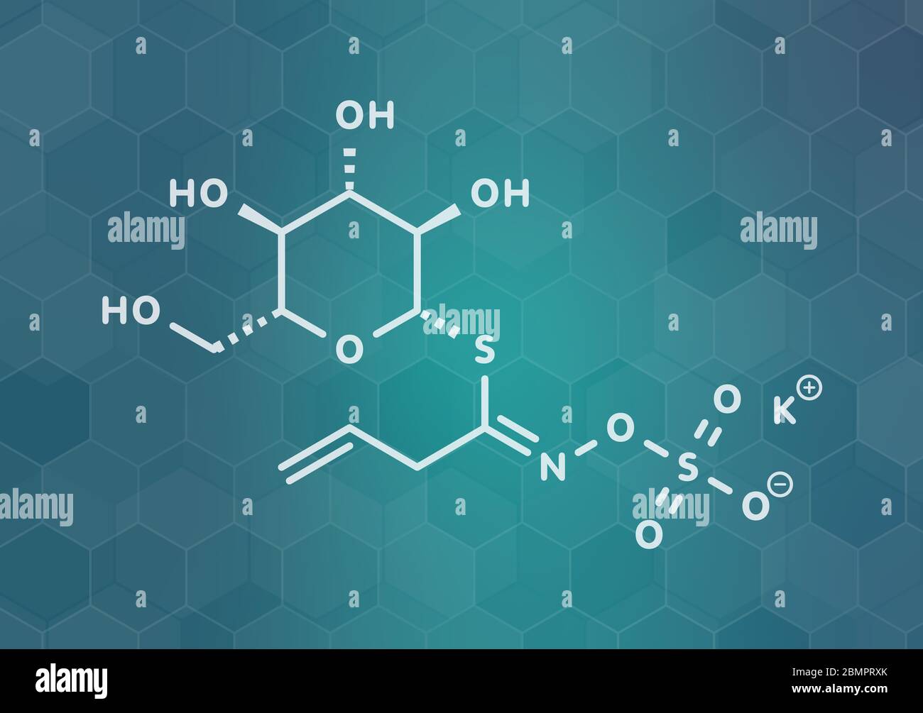 Glucosinolate sinigrine molécule. Présente dans certains légumes crucifères (choux de Bruxelles, le brocoli, la moutarde noire, etc). Formule topologique. Banque D'Images