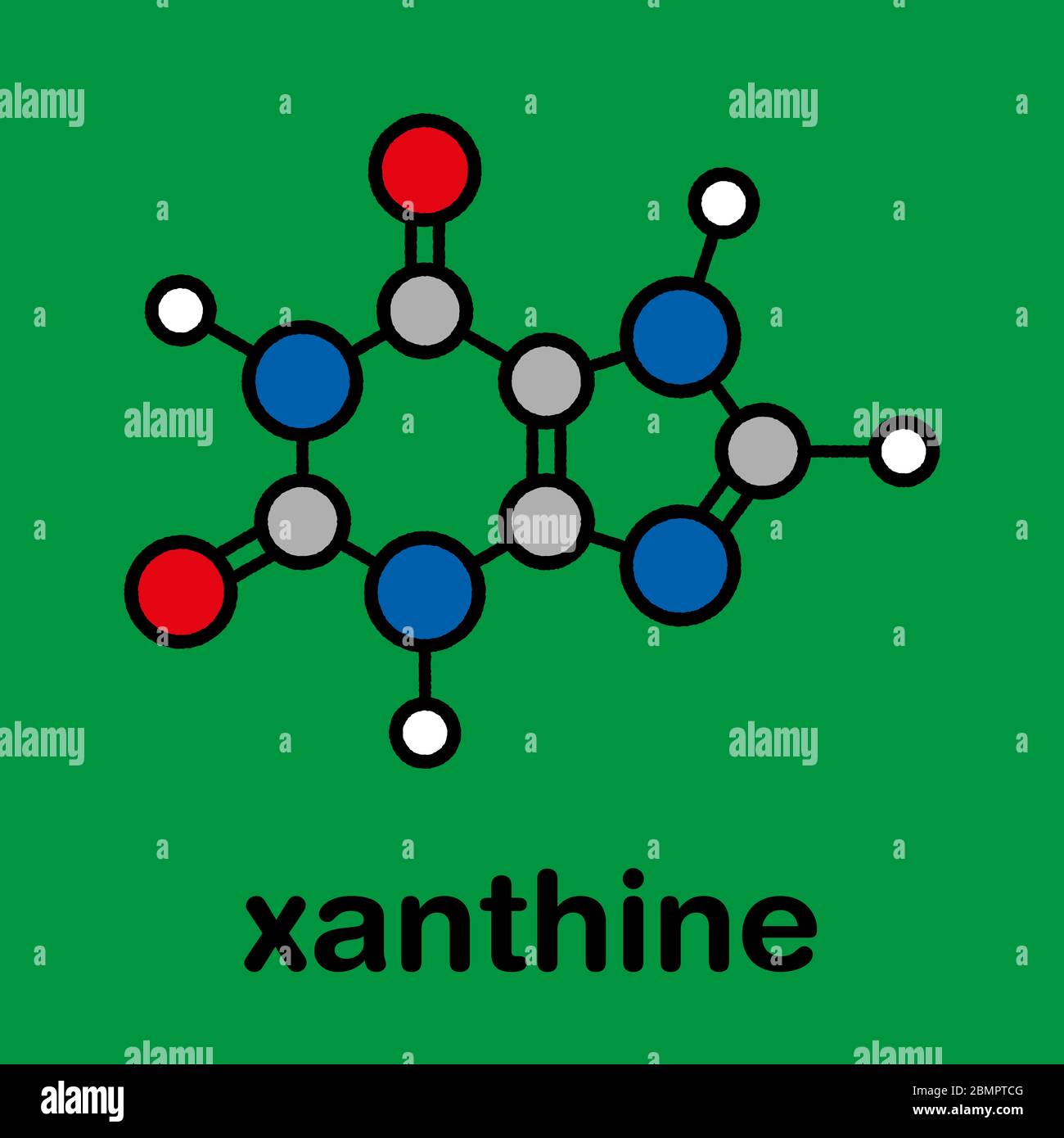 Molécule de base de la xanthine purine. Formule squelettique stylisée (structure chimique) : les atomes sont représentés par des cercles de couleur : hydrogène (blanc), carbone (gris), azote (bleu), oxygène (rouge). Banque D'Images