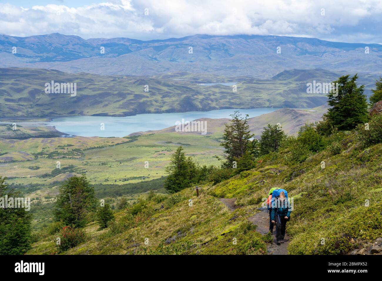 Randonneurs marchant sur le célèbre W Trek dans le parc national de Torres del Paine en Patagonie, au Chili, en Amérique du Sud. Banque D'Images