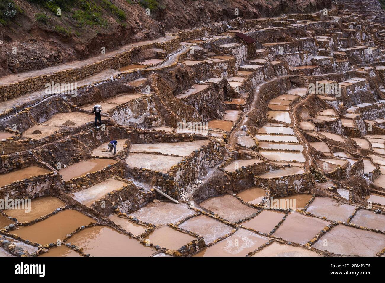 Mines de sel de Maras dans la Vallée Sacrée des Incas, région de Cusco, Pérou, Amérique du Sud. Banque D'Images