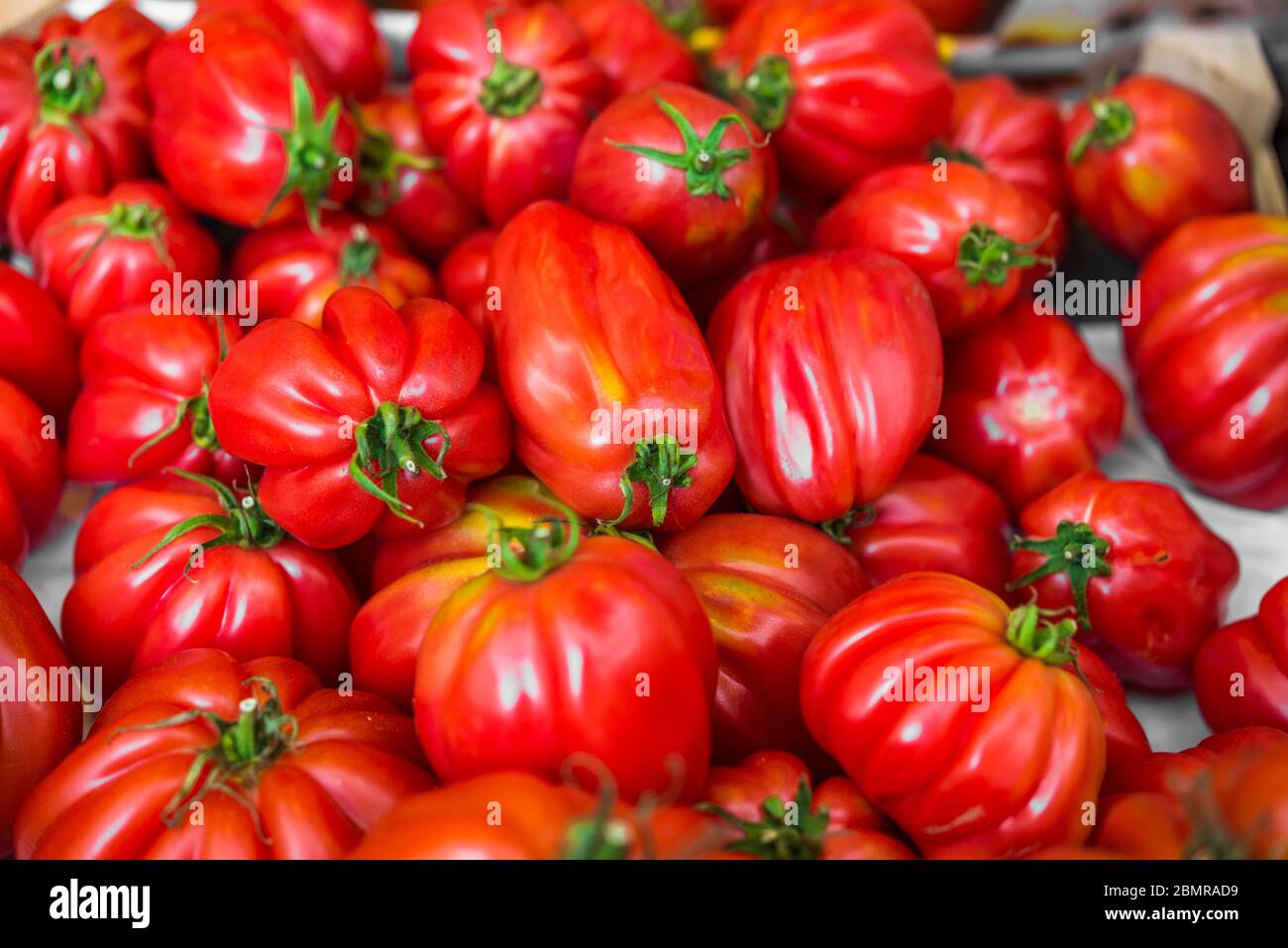 Gros plan photo de la nourriture des tomates biologiques à l'étalage du marché agricole. Banque D'Images