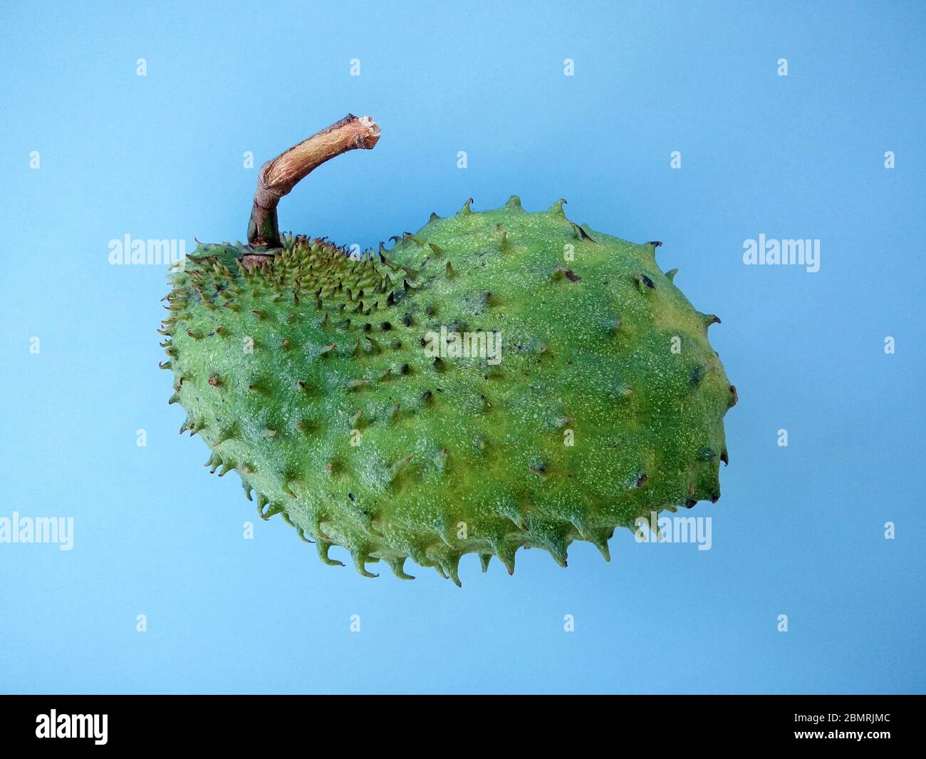 A Soursop Banque D Image Et Photos Alamy A Soursop Banque D Image Et Photos Alamy