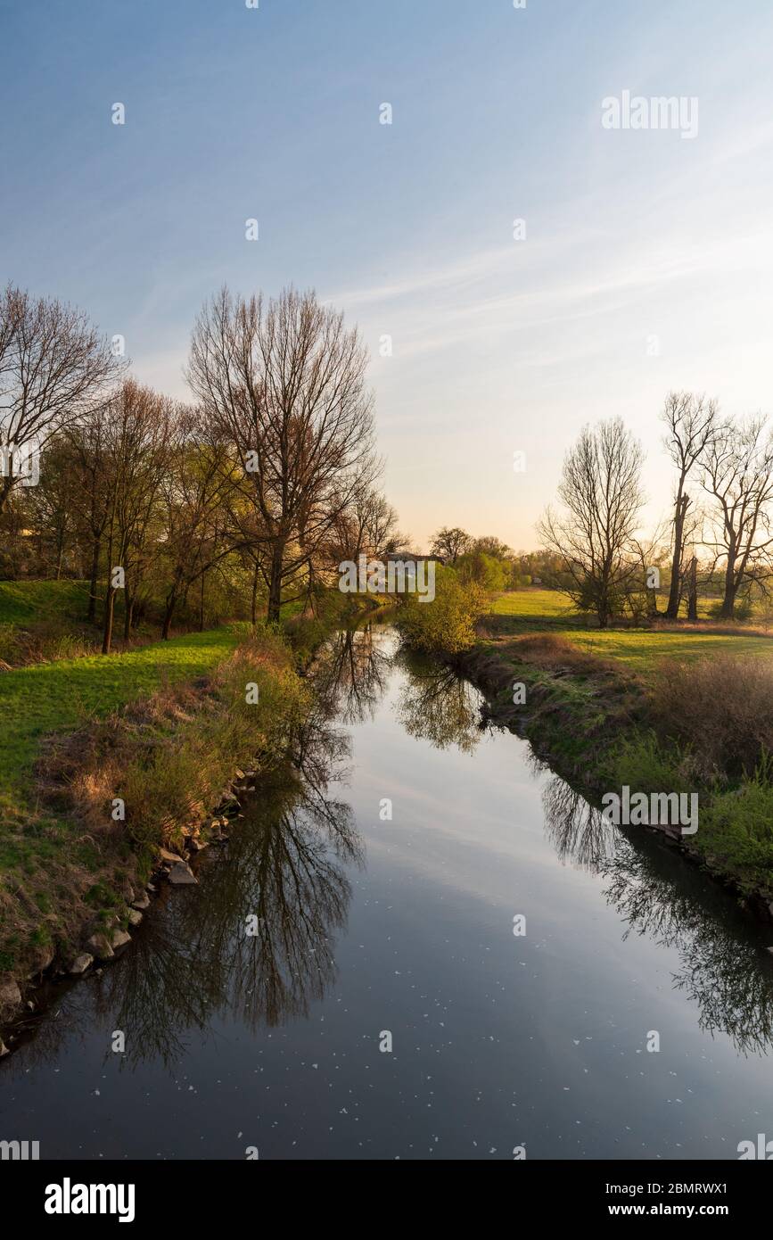 Rivière Odra avec prairie et arbres autour de la ville d'Ostrava en République Tchèque pendant la belle soirée de printemps Banque D'Images
