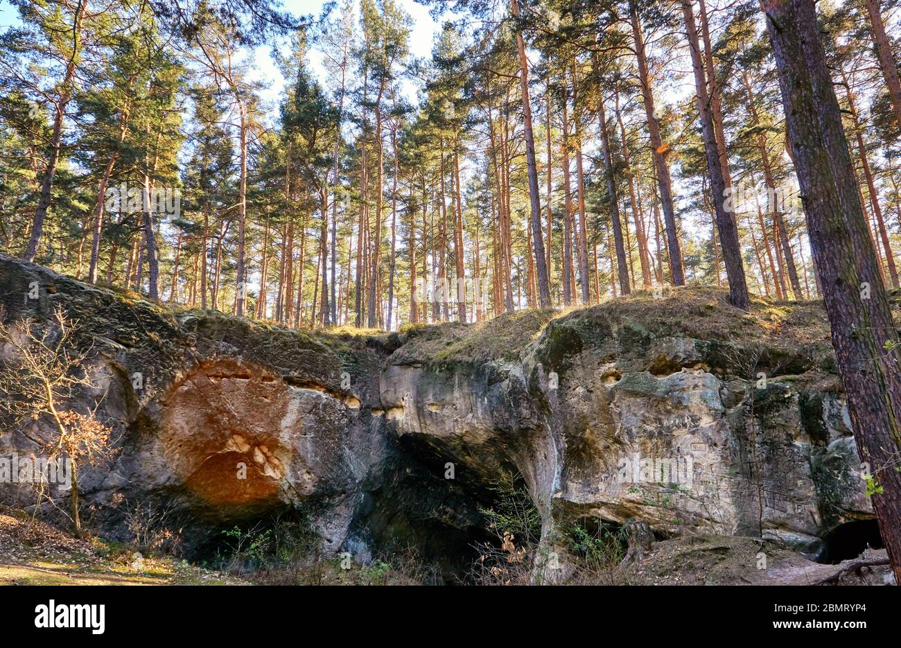 Arbres sur les grottes dans le paysage de roche de grès à Blankenburg. Parc national de Harz. Saxe-Anhalt, Allemagne. Banque D'Images
