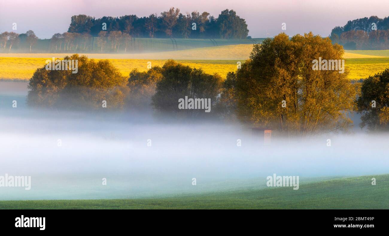 Le paysage rural rappelle la Toscane italienne sur un magnifique panorama brumeux Banque D'Images
