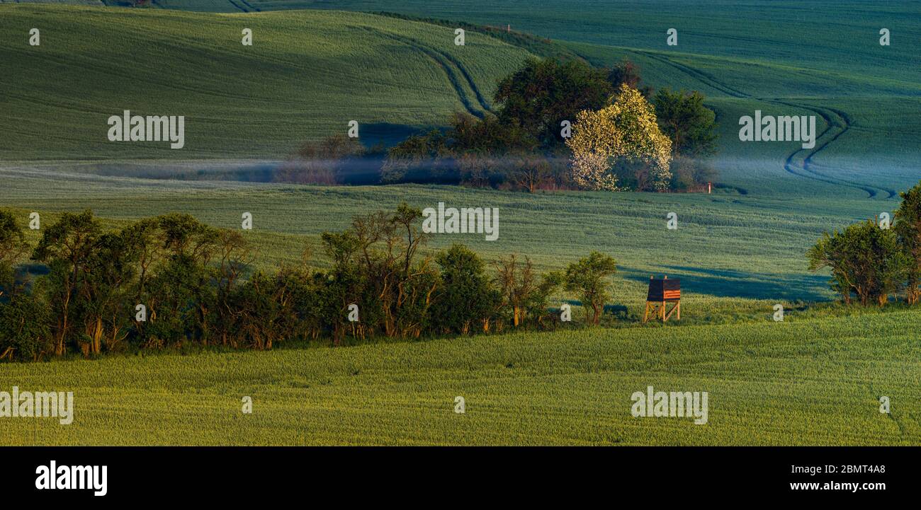 Le paysage rural rappelle la Toscane italienne sur un magnifique panorama brumeux Banque D'Images