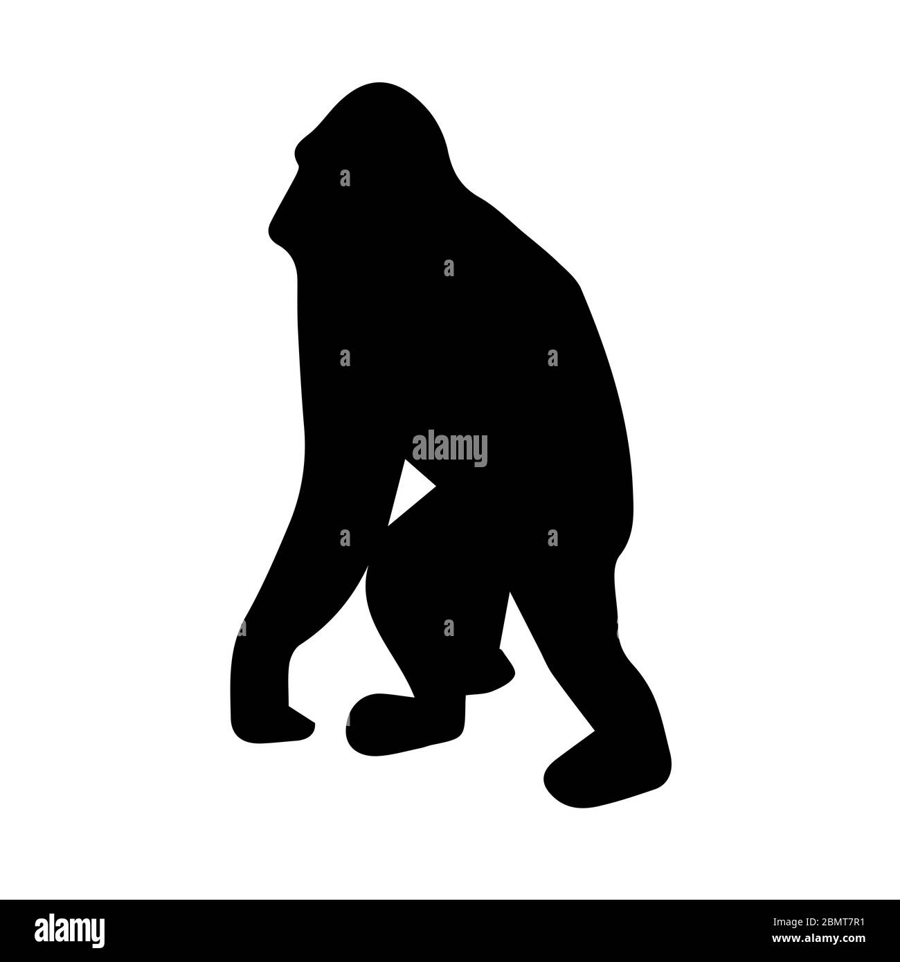 Silhouette d'orangutan sur fond blanc Banque D'Images