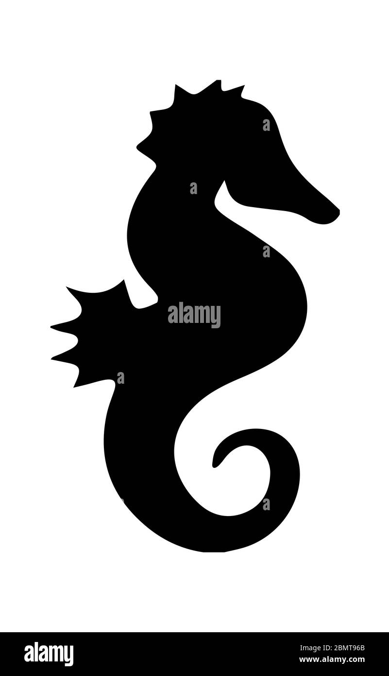 Silhouette de cheval de mer sur fond blanc Banque D'Images