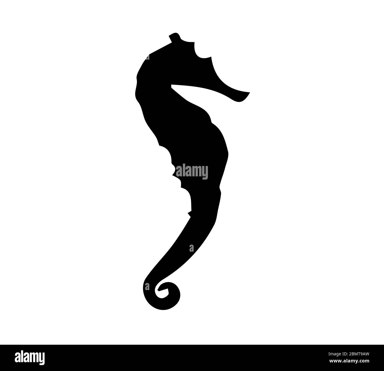 Silhouette de cheval de mer sur fond blanc Banque D'Images