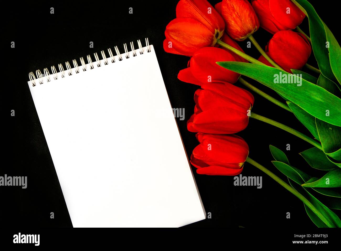Carte De Condoleances Blanche Vierge Avec Tulipes Rouges Sur Fond Sombre Fleurs Fraiches Espace Vide Pour Un Texte Photo Stock Alamy