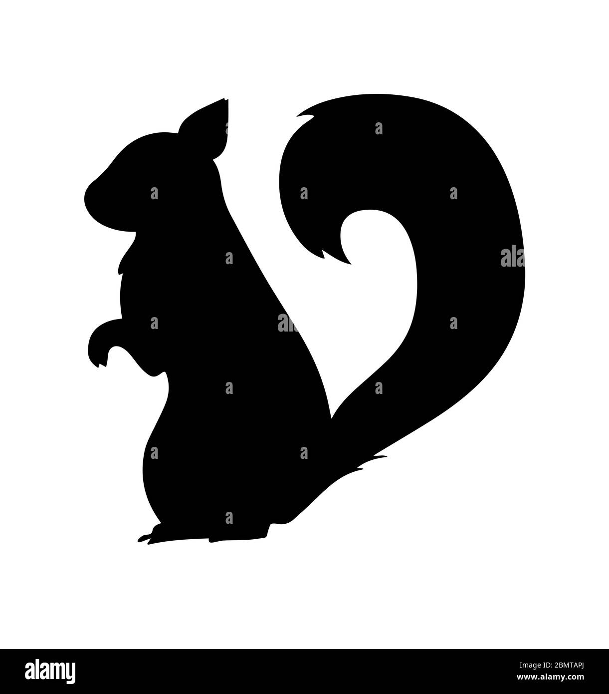 Silhouette écureuil sur fond blanc Banque D'Images