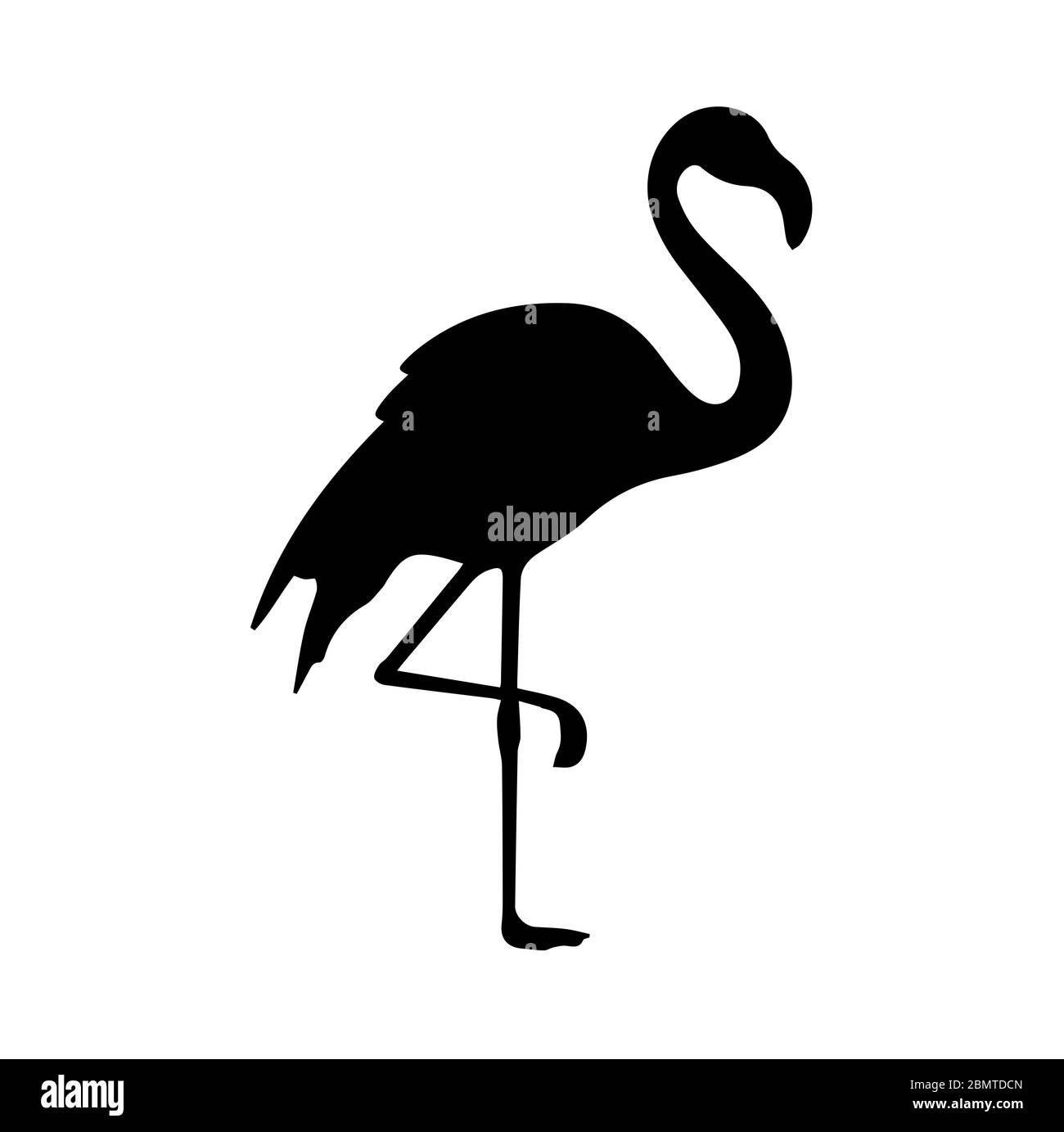 Silhouette de flamants roses sur fond blanc Banque D'Images
