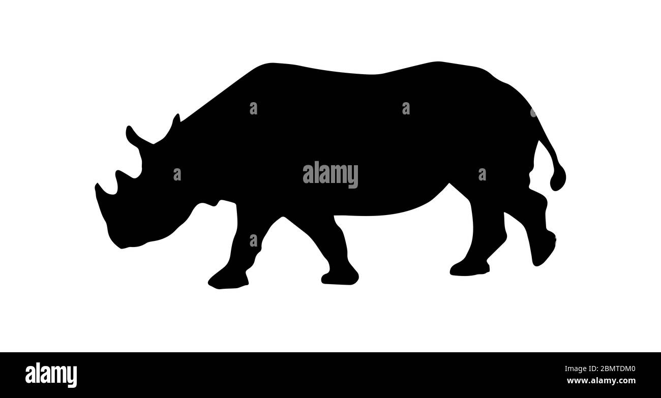 Silhouette de rhinocéros sur fond blanc Banque D'Images