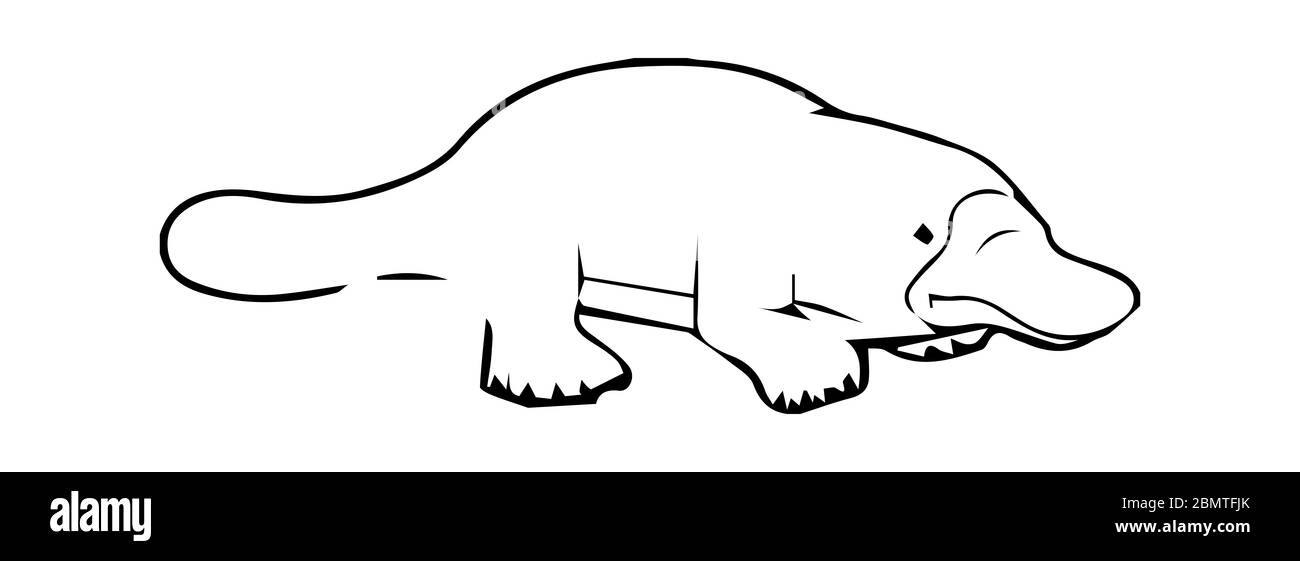 platypus sur fond blanc. Frappe sa queue sur le sol Banque D'Images