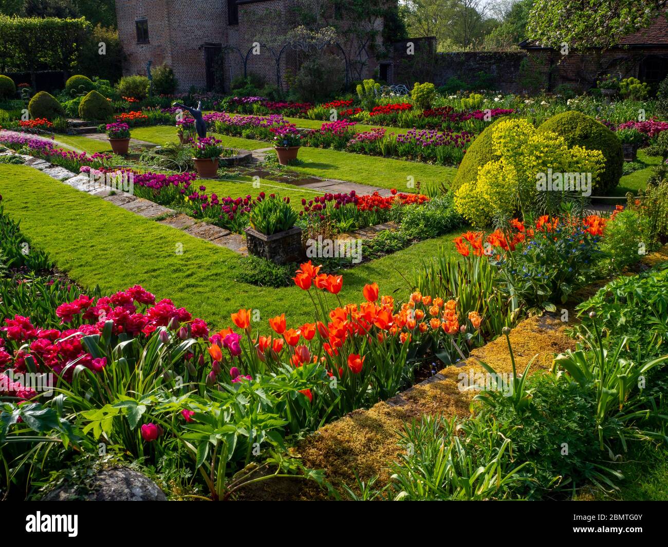 Chenies Manor jardin en contrebas avec des tulipes d'orange vibrantes et colorées, rouges rehaussée par la lumière du soleil de la fin de l'après-midi. Banque D'Images