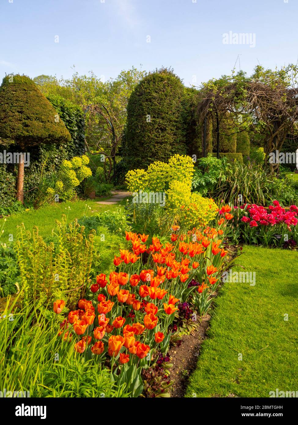 Chenies Manor jardin en contrebas avec des tulipes d'orange vibrantes et colorées, rouges rehaussée par la lumière du soleil de la fin de l'après-midi. Banque D'Images