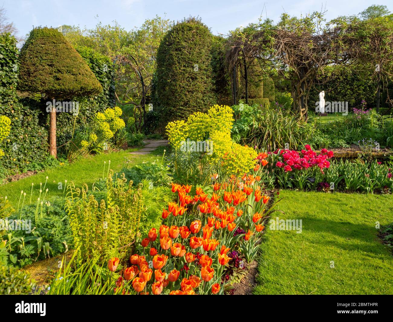 Jardin submergé de Chenies Manor avec tulipes d'orange vibrantes et colorées, rouges rehaussée par la lumière du soleil de la fin de l'après-midi, trelis, sentiers topiaires et herbeux Banque D'Images