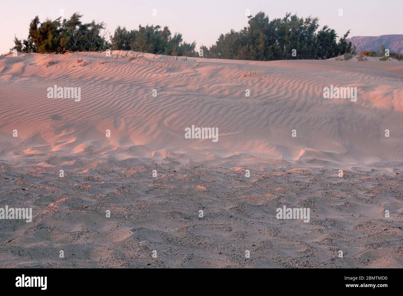 De belles vagues de sable sur les dunes de Sunrise dans les dunes de sable plat de Mesquite avec des plantes vertes, Grèce, Elafonisy Banque D'Images