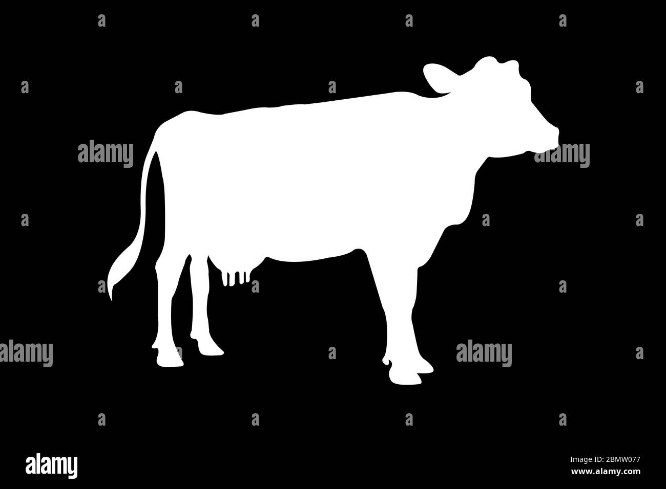 Silhouette de vache sur fond blanc Banque D'Images