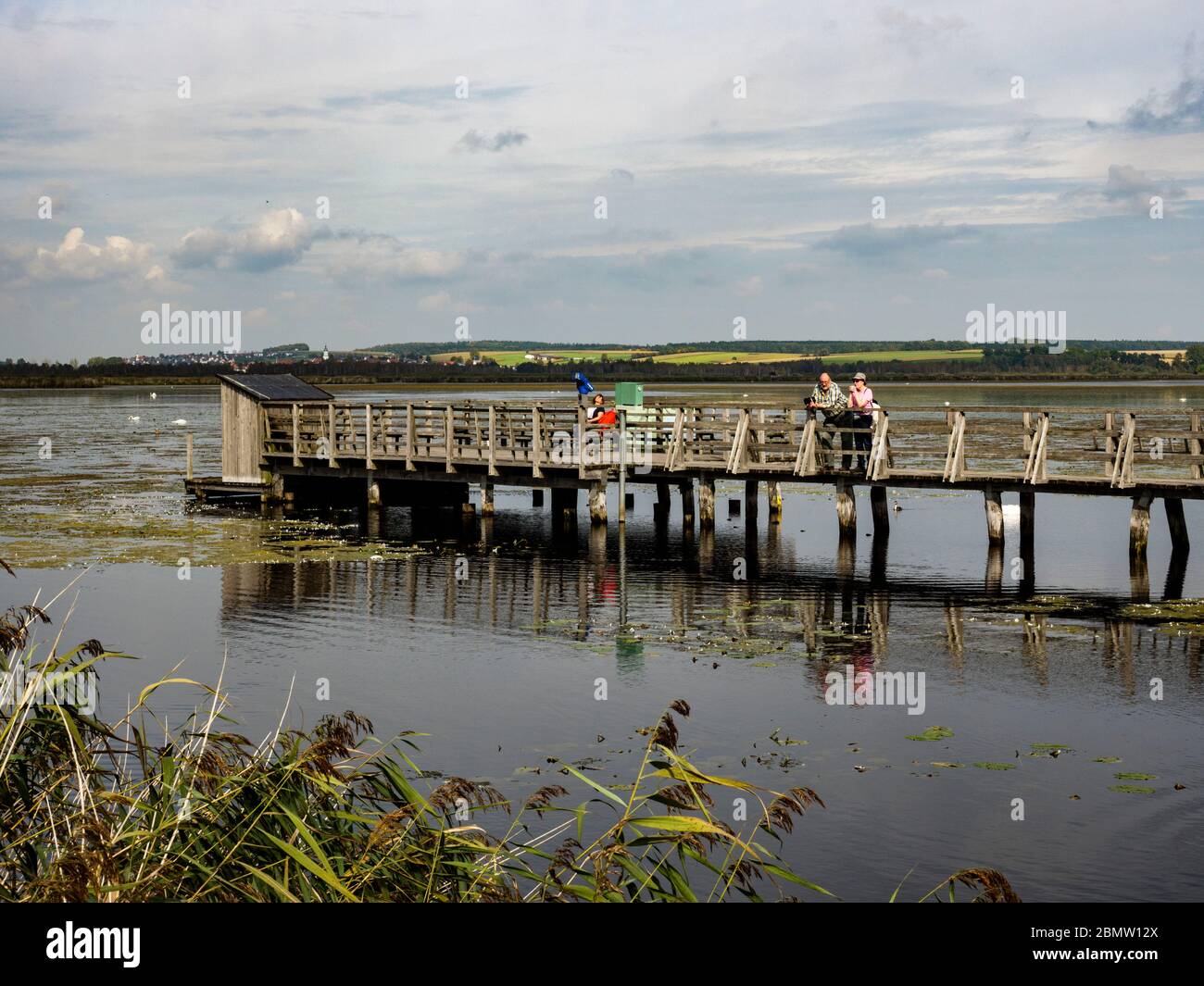 Steg zum Federsee, Naturschutzgebiet, Bad Buchau, Oberschwaben, Bade-Wurtemberg, Allemagne Banque D'Images