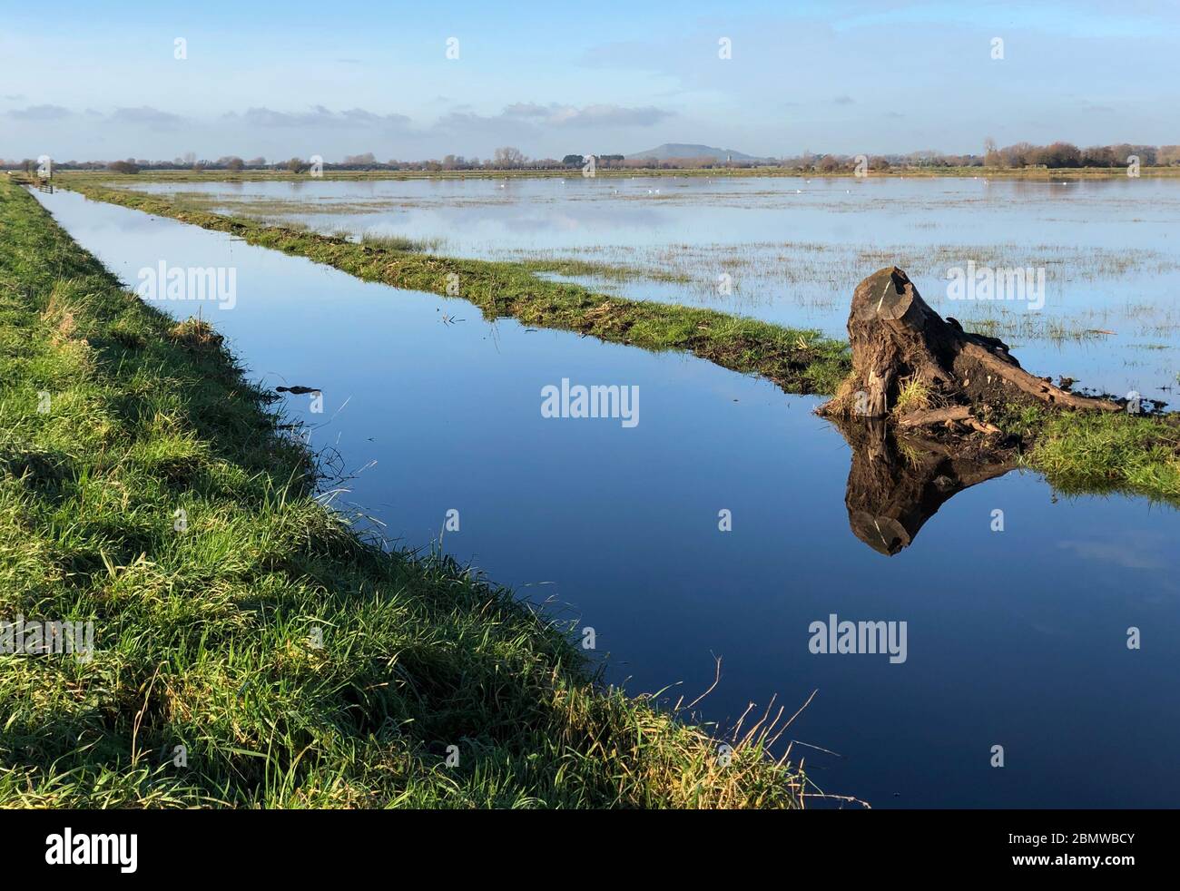 Inondations au niveau du Somerset Banque D'Images