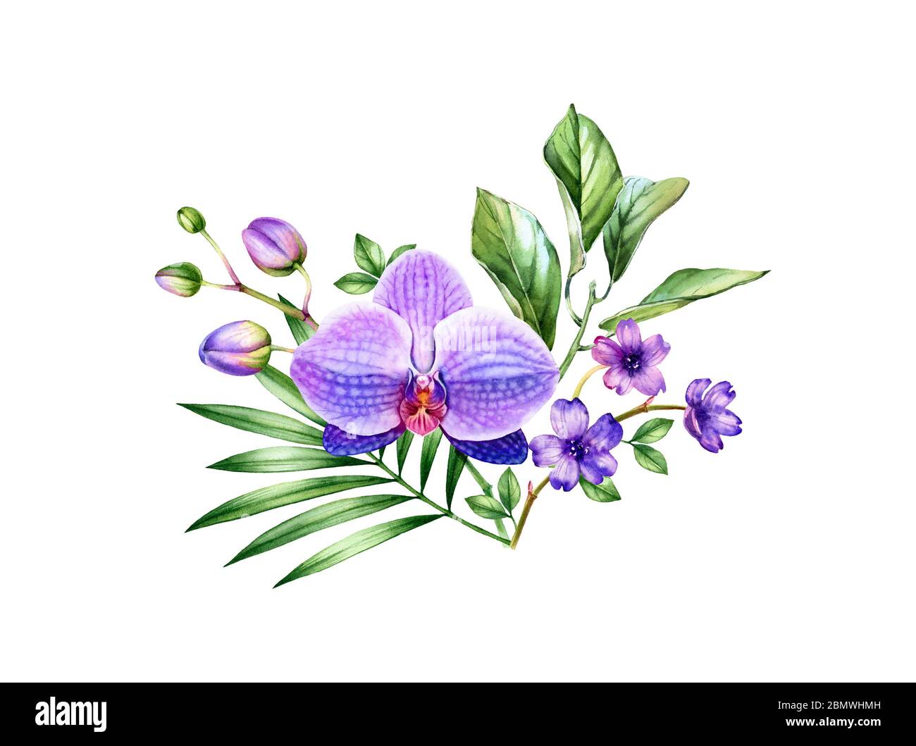Fleurs tropicales aquarelles. Orchidée violette et feuilles de palmier au  bouquet. Fond tropical peint à la main. Illustrations botaniques isolées  sur blanc Photo Stock - Alamy