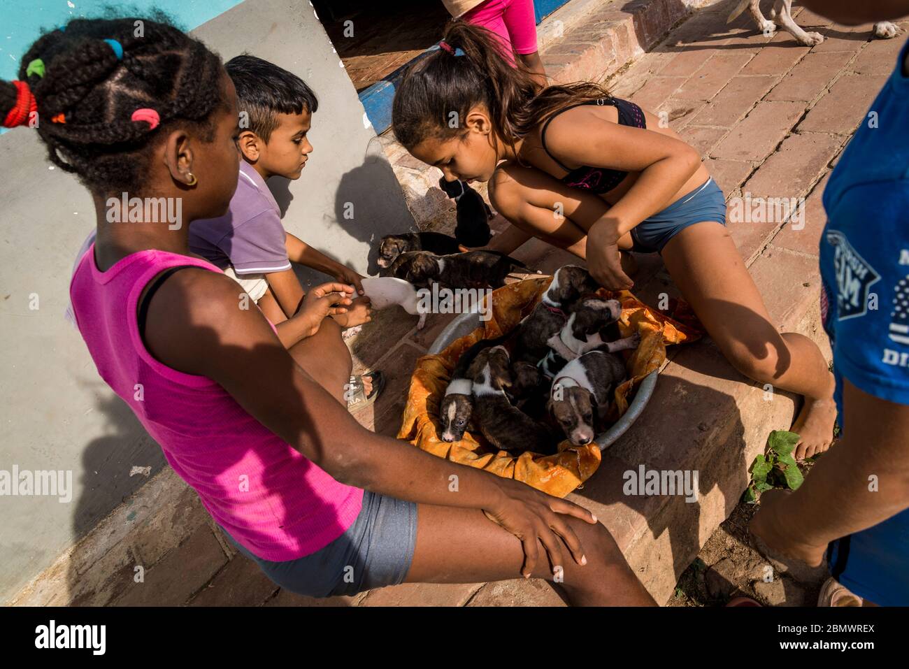 Enfants jouant avec des chiots devant la maison dans la rue, Trinidad, Cuba Banque D'Images