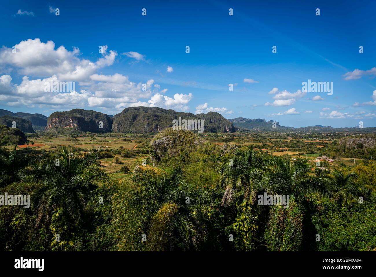 Vallée de Vinales, connue pour ses formations de montagne géomorphologiques en calcaire uniques appelées mogotes. Cuba Banque D'Images