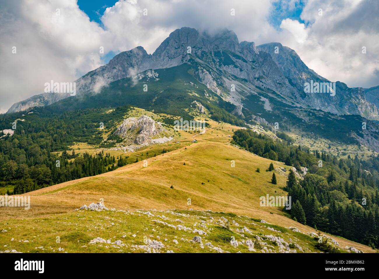 Massif de l'ail, région de Prijevor, Parc national de Sutjeska, Alpes Dinariques, Republika Srpska, Bosnie-Herzégovine Banque D'Images
