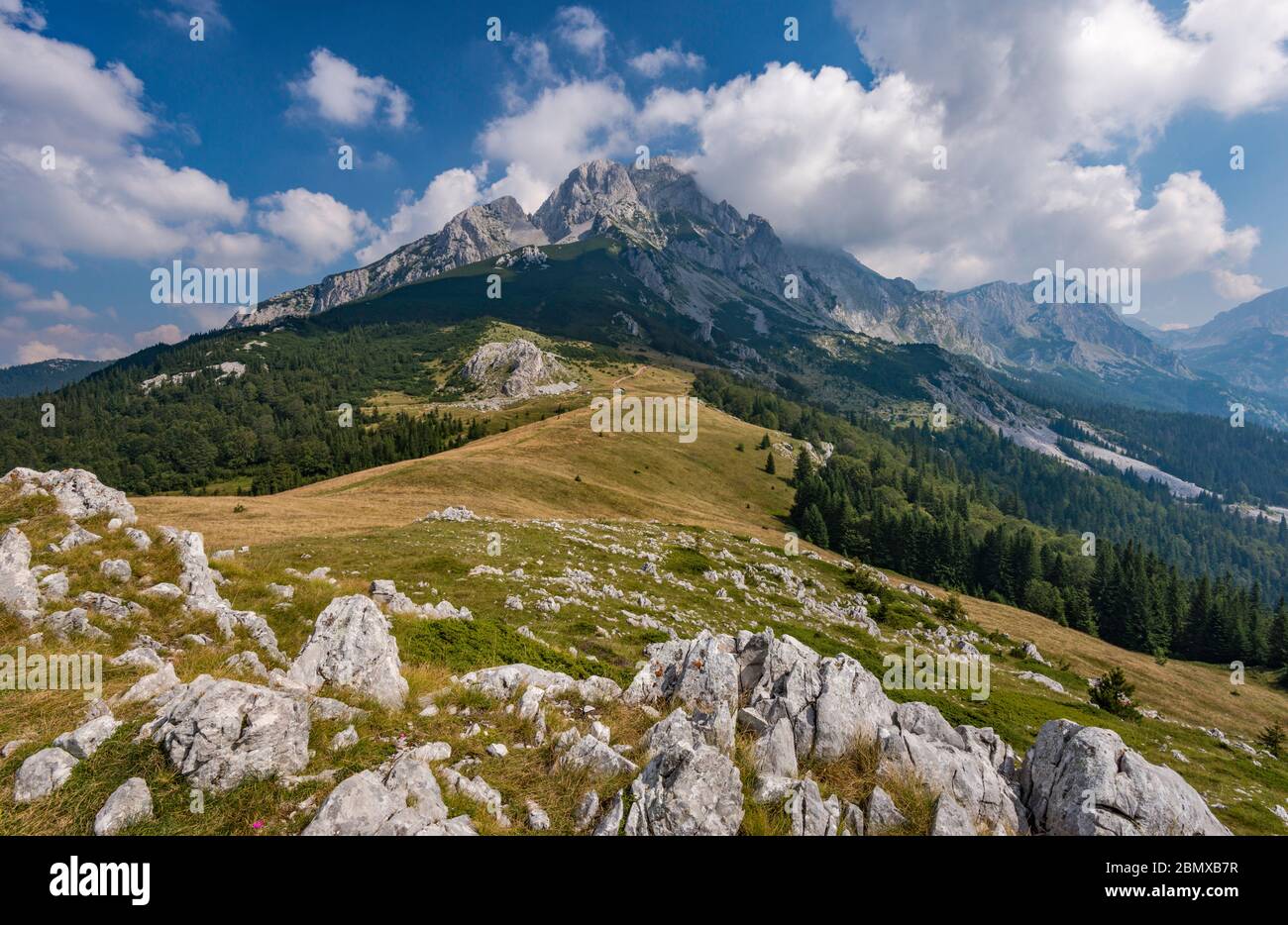 Massif de l'ail, région de Prijevor, Parc national de Sutjeska, Alpes Dinariques, Republika Srpska, Bosnie-Herzégovine, Europe du Sud-est Banque D'Images
