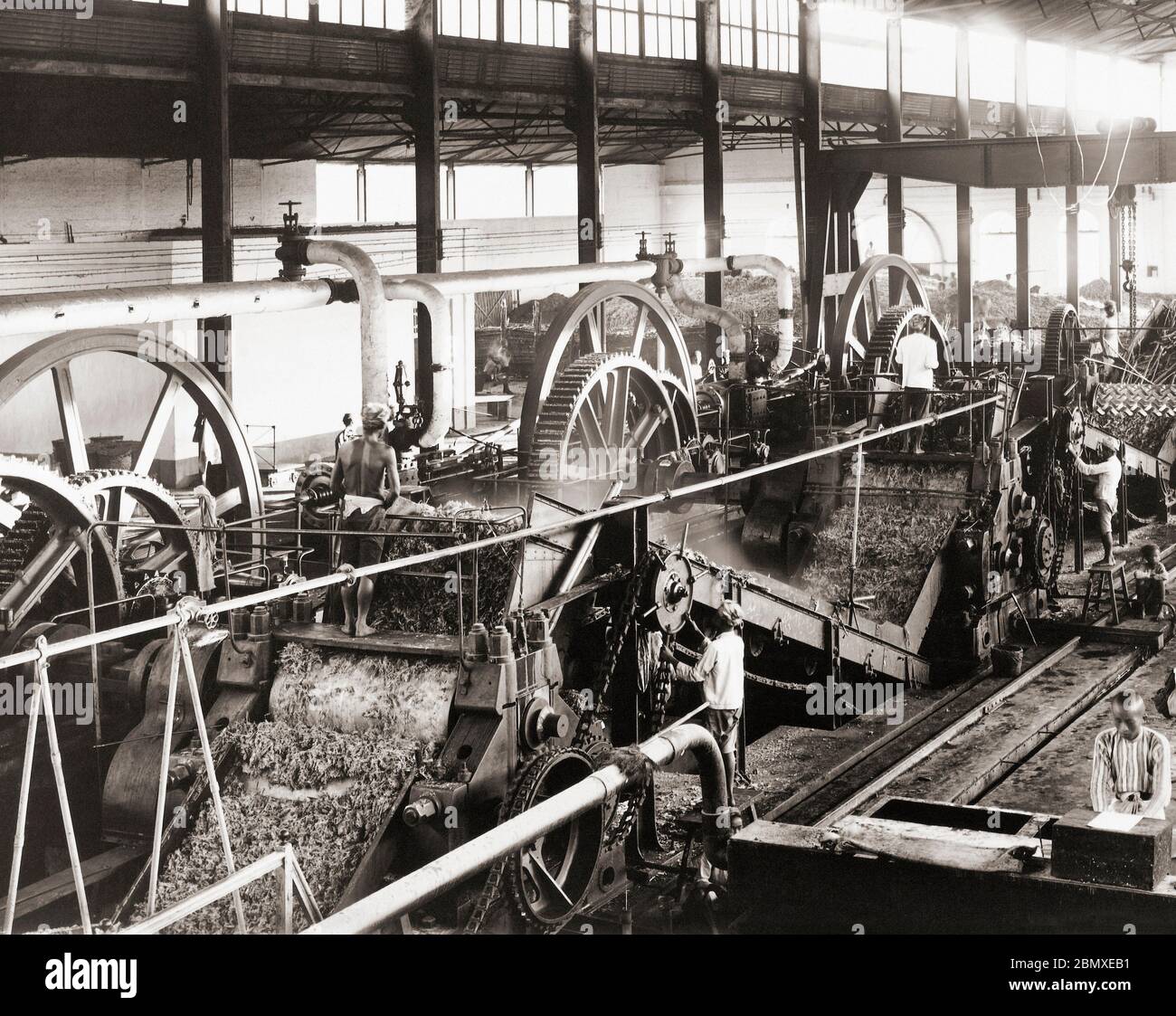 Machines de transformation de la canne à sucre dans les Indes orientales néerlandaises (Indonésie moderne) fin du XIXe siècle. Après une photo éventuellement prise par le photographe turc Ohannes Kurkdjian, 1851 - 1903. Banque D'Images