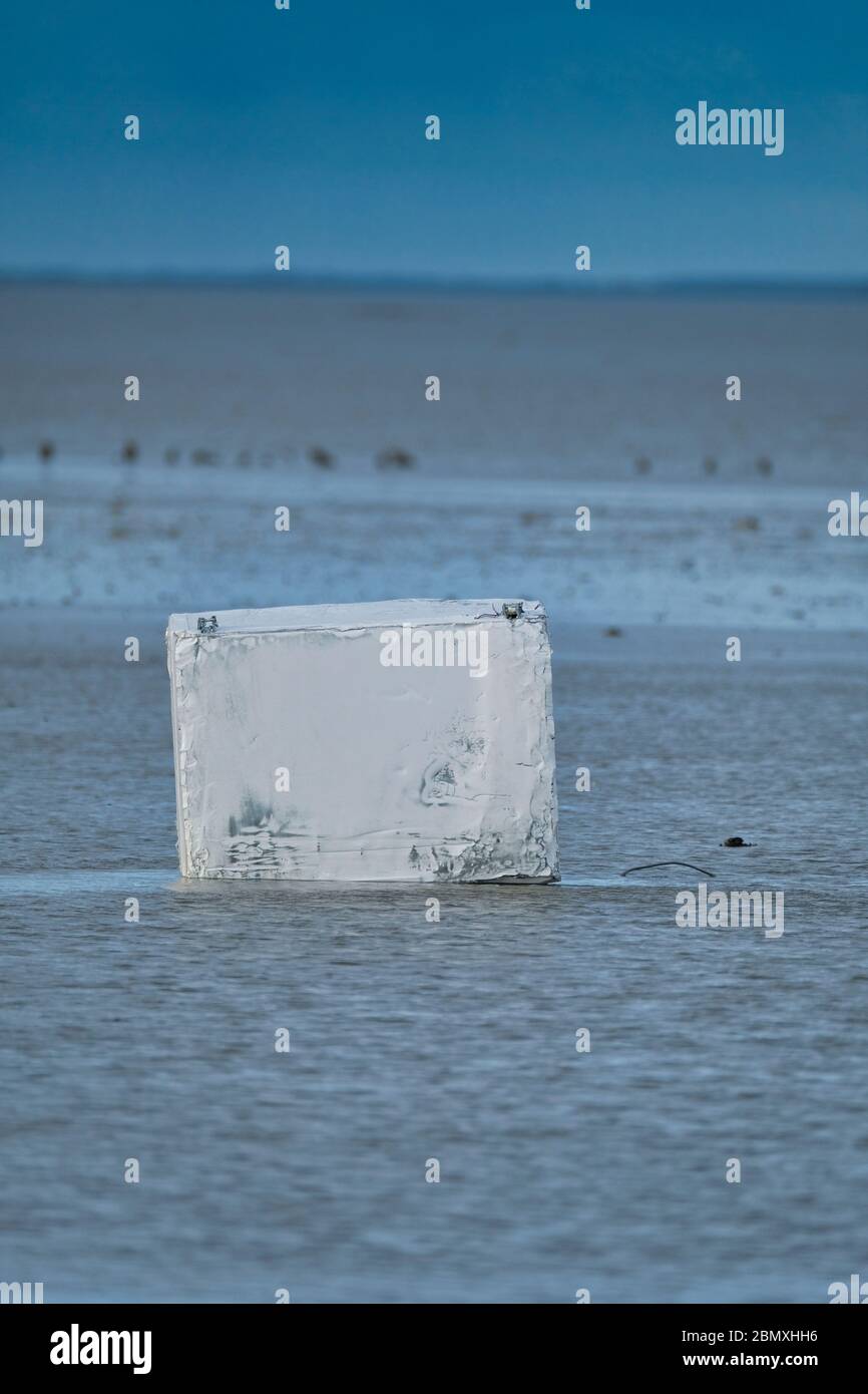 Un navire à conteneurs a perdu une cargaison en mer, au large de la côte de  la Frise, aux pays-Bas. Un congélateur a lavé le minerai de terre. Partout  des boules blanches