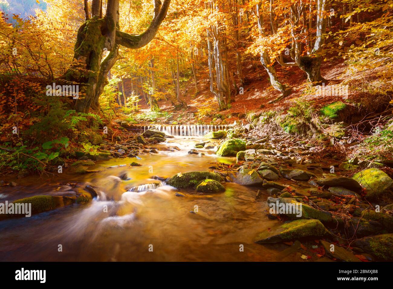 Paysage d'automne. Petite montagne rivière dans la forêt d'arbres jaunes, couleurs de la nature d'automne, grande taille Banque D'Images