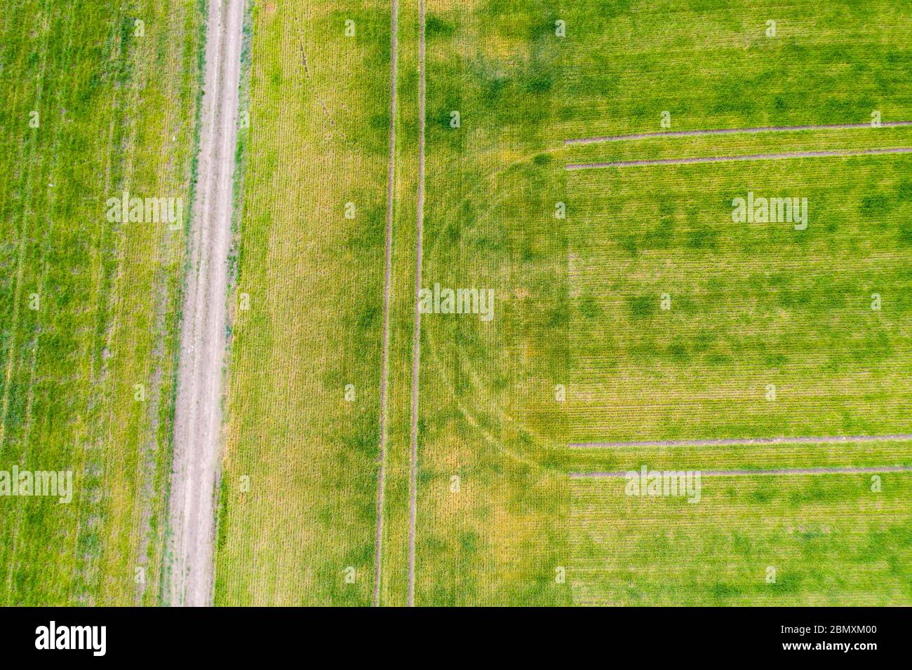 Champ vert frais avec traces de tracteur et une route dans un paysage rural, au-dessus de la vue Banque D'Images