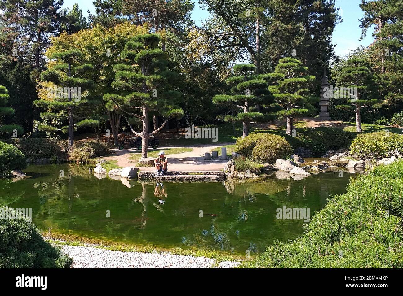 Observation de poissons dans un étang dans le Nordpark dans la ville de Düsseldorf, Allemagne Banque D'Images