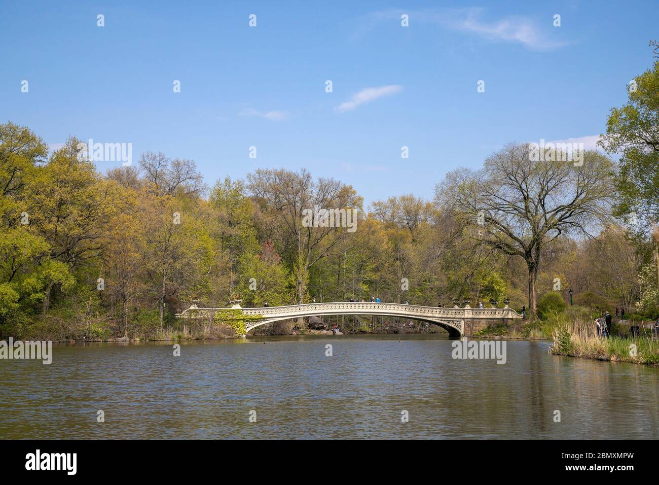 Bow Bridge à Central Park, New York. Banque D'Images