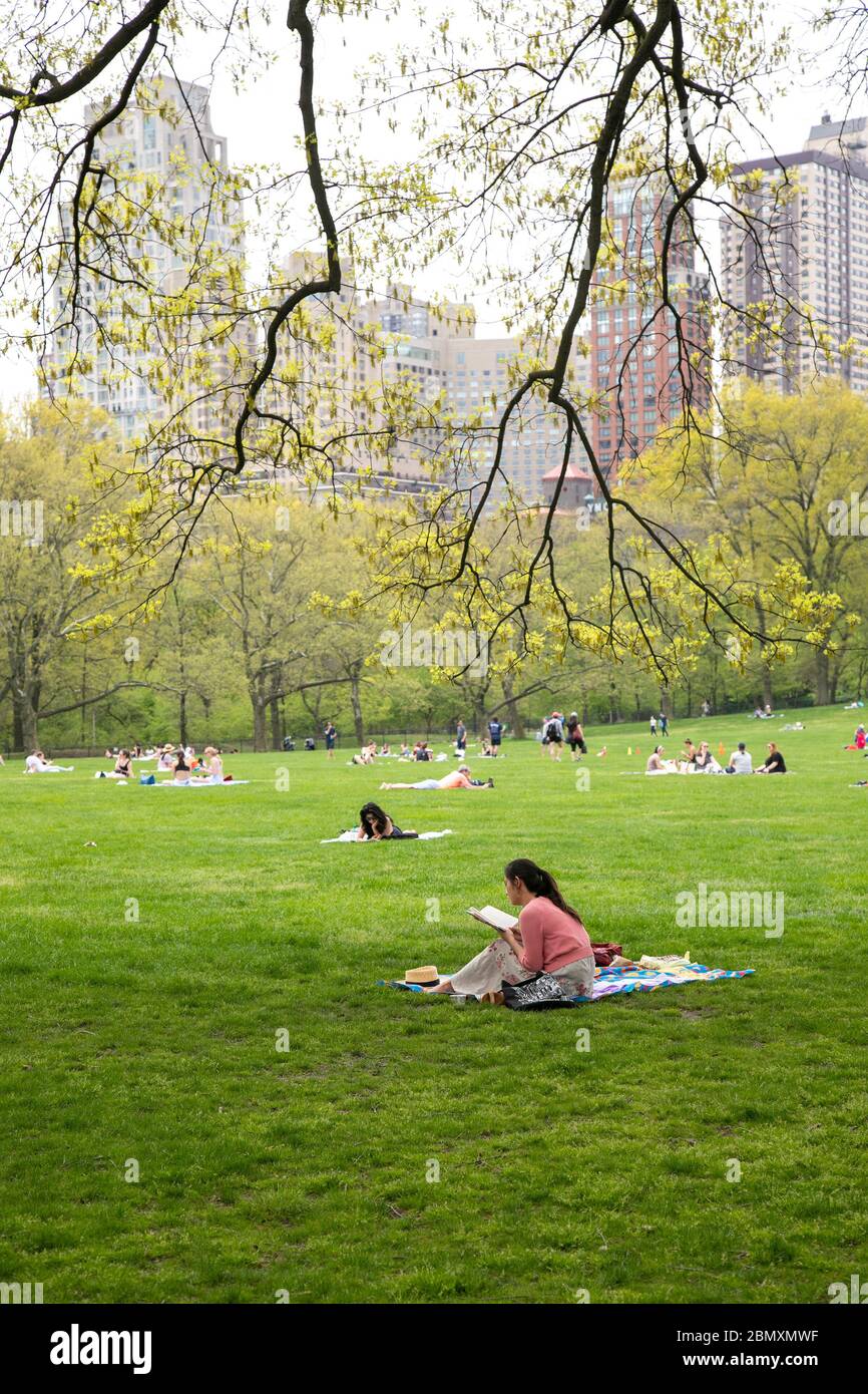 Lire un livre sur la pelouse à Sheep Meadow, Central Park, New York. Banque D'Images