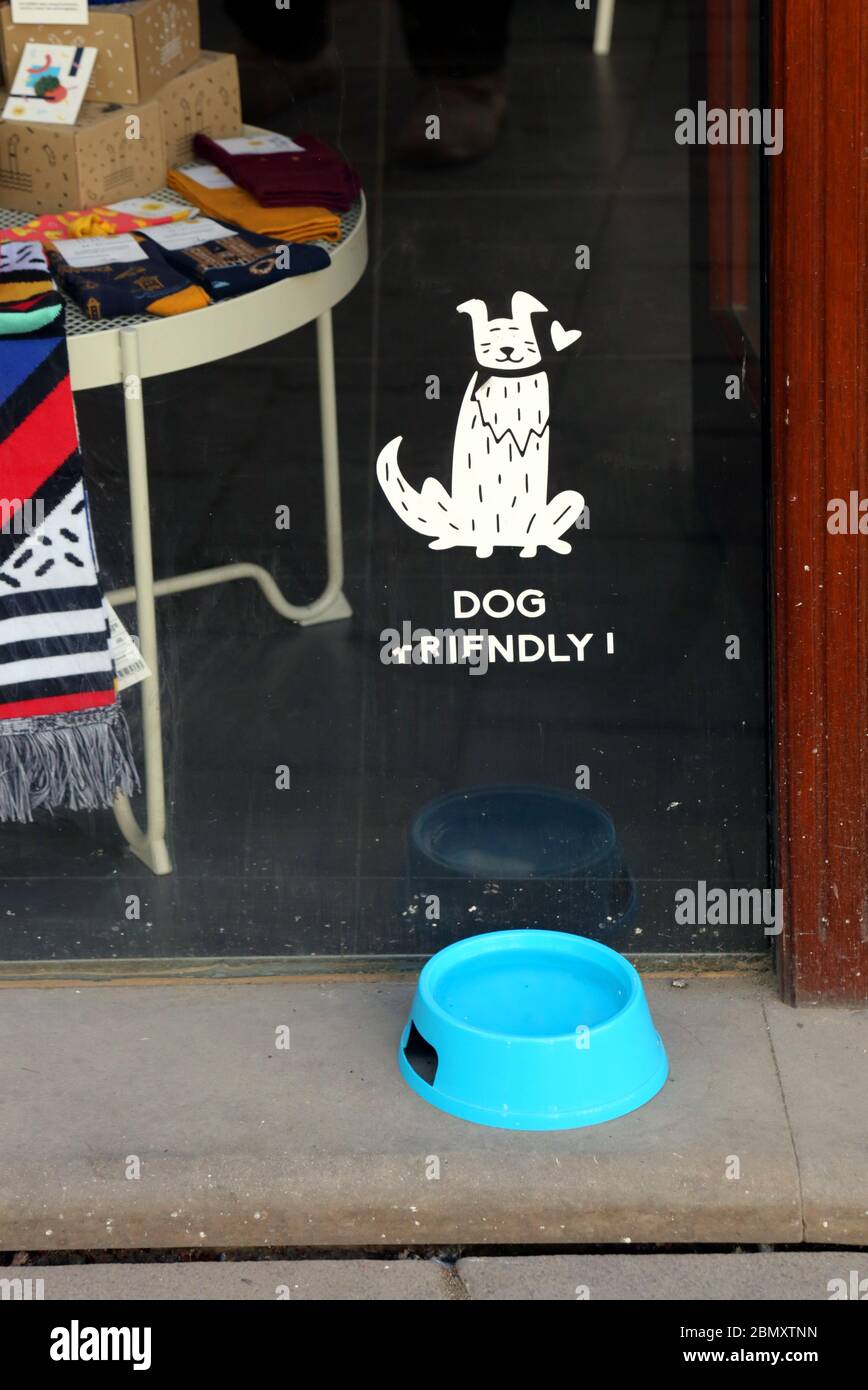 Cracovie. Cracovie. Pologne. Bol d'eau pour chiens devant la boutique avec annonce chien amical et photo de chien. Banque D'Images