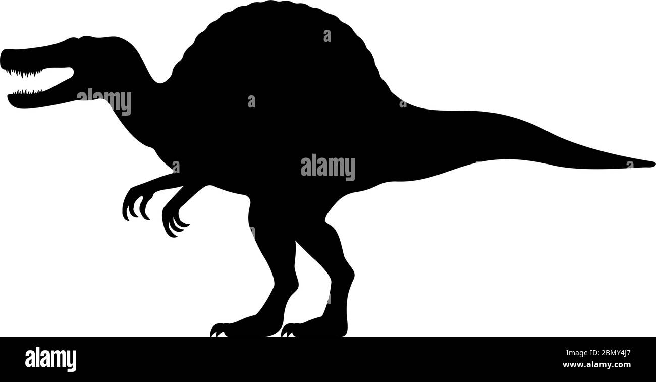 Silhouette Spinosaurus. Illustration vectorielle silhouette noire d'un dinosaure spinosaurus isolé sur un fond blanc. Icône de logo dinosaure, vue latérale p Illustration de Vecteur